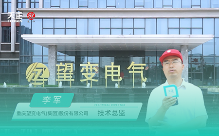 pg电子x望变电气